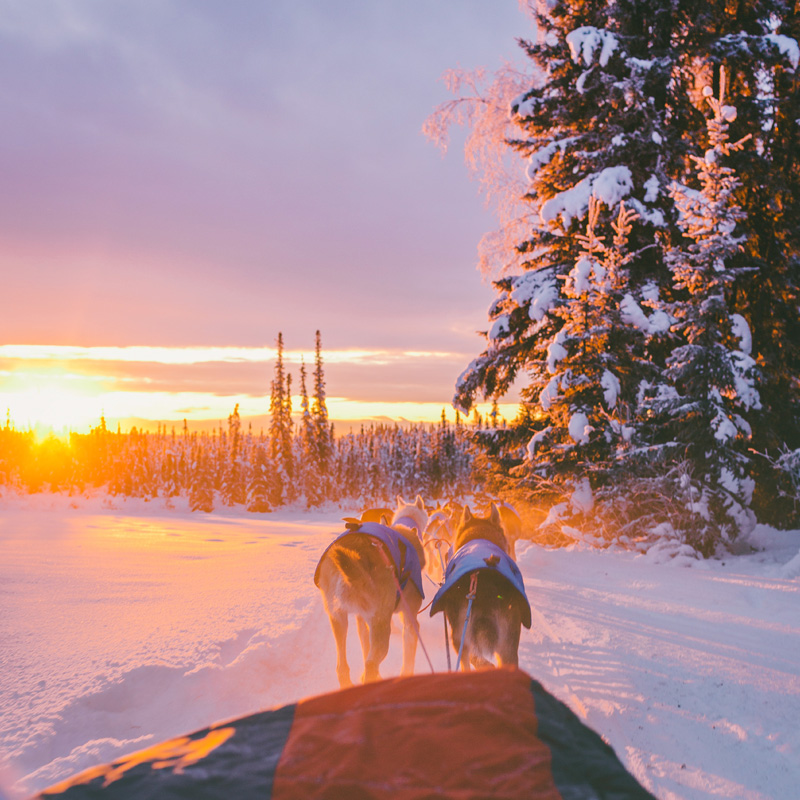 imagen destino Viajes Eurotrip Bidaiak: Laponia-Viaja a Laponia, auroras boreales y naturaleza salvaje en el Ártico