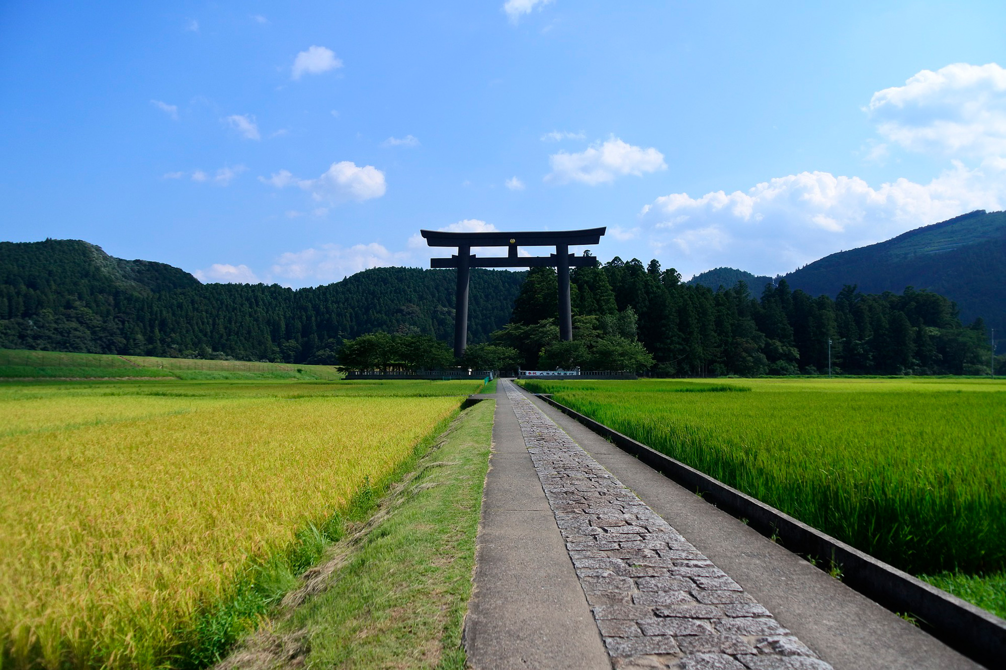 Viaje en grupo a Japón - Japón- imagen #7 Viaje en grupo a Japón - Japón- imagen #7