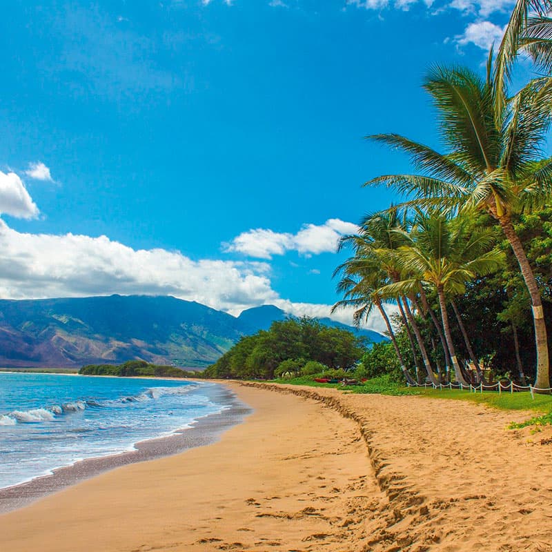 Viajes a medida | Lo mejor de Hawai-de novios