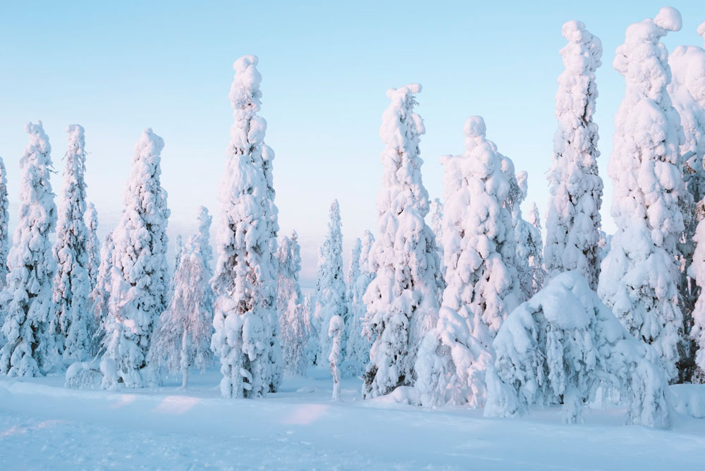 Laponia avistamiento de Auroras Boreales en diciembre - Laponia- imagen #4