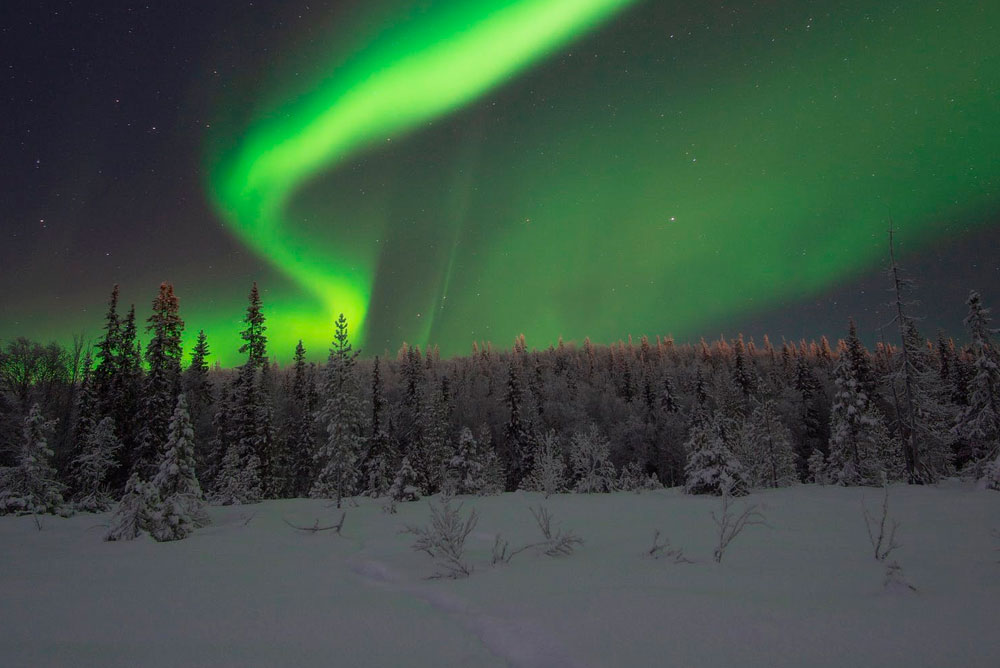 Laponia avistamiento de Auroras Boreales en diciembre - Laponia- imagen #5