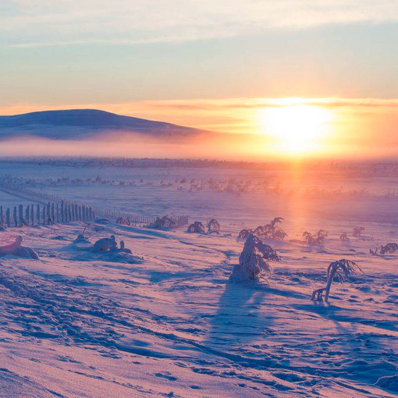Viajes a medida | Laponia avistamiento de Auroras Boreales en diciembre-aventura