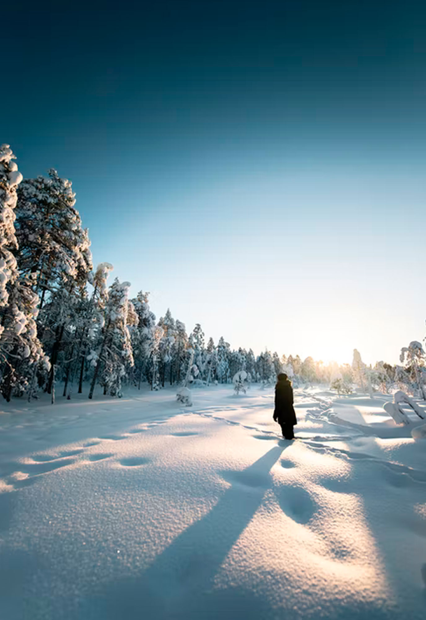 Laponia avistamiento de Auroras Boreales en diciembre - Laponia- imagen #2