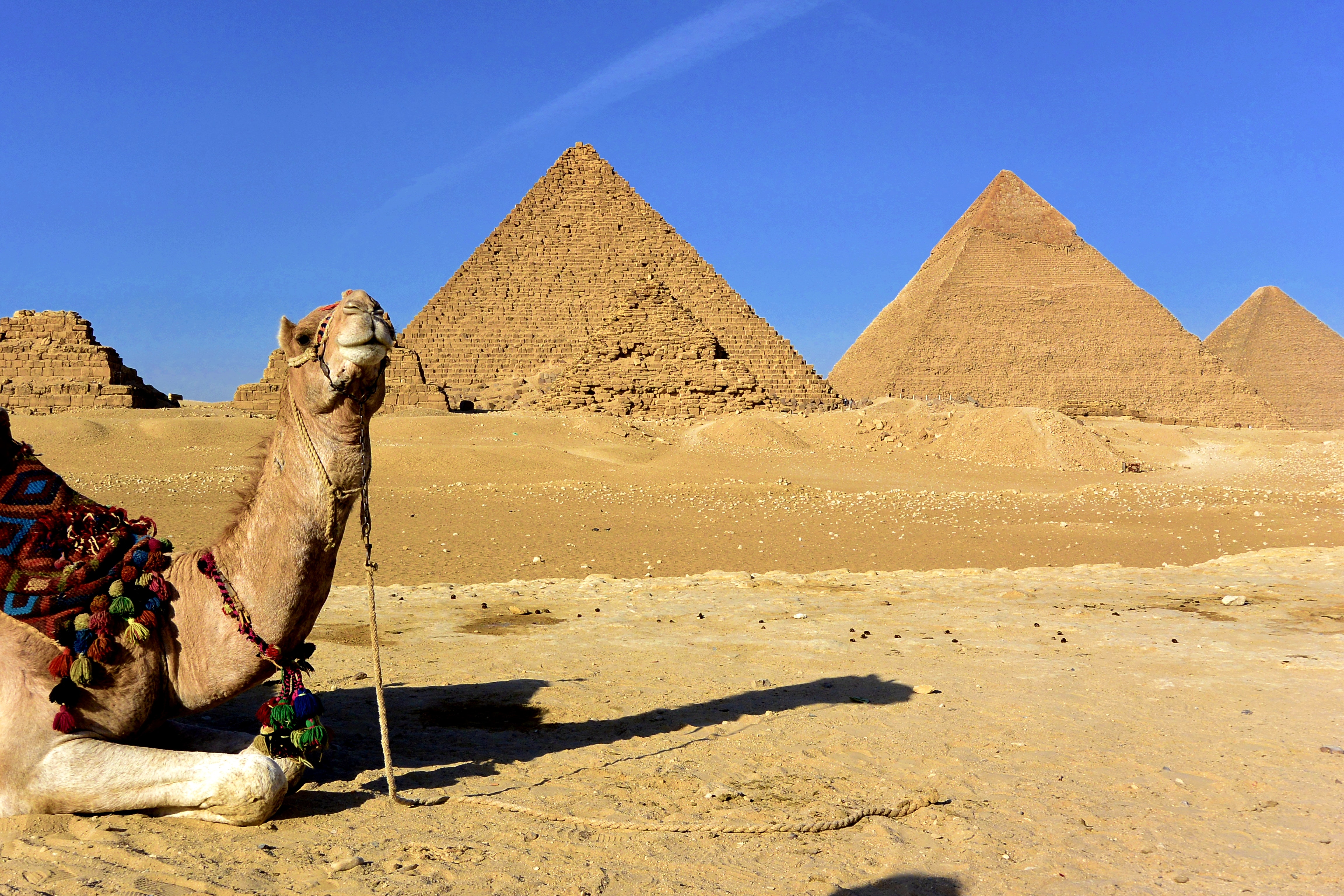 Viaje a Egipto El Cairo + Crucero por el Nilo 2022 - Egipto- imagen #8