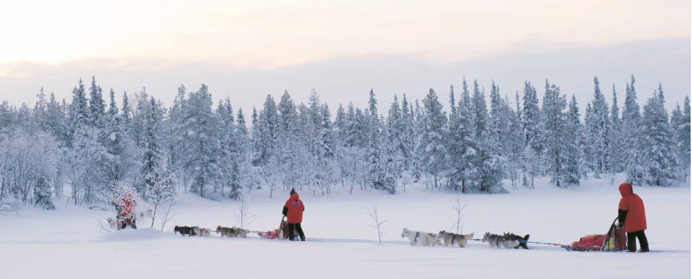 Viaje en Grupo a Laponia en el Círculo Polar Ártico Finlandés - Laponia- imagen #6