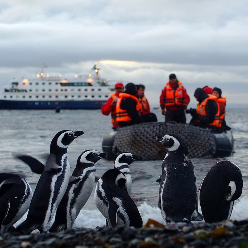 Viajes a medida | Crucero: Fiordos de Tierra del Fuego - Punta Arenas - Ushuaia-Cruceros de lujo