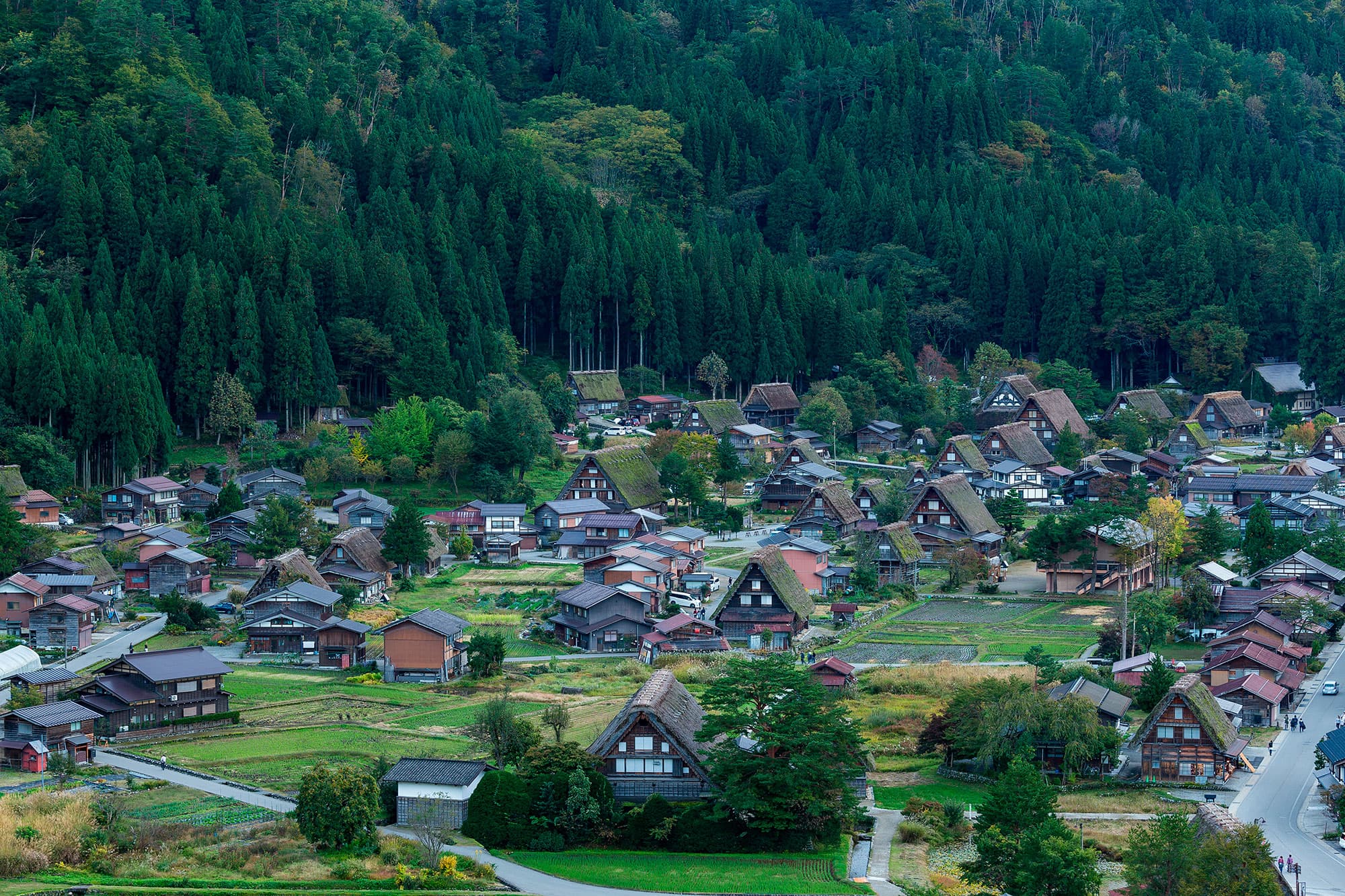 Camino de Kumano - Japón- imagen #1 Camino de Kumano - Japón- imagen #1