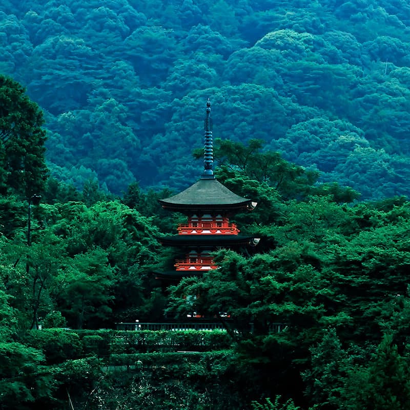 Viajes a medida | Camino de Kumano-aventura