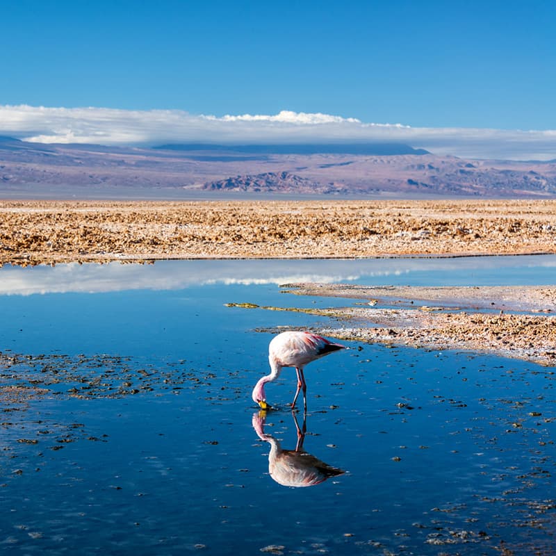 Viaje a medida: Chile y Bolivia-Chile