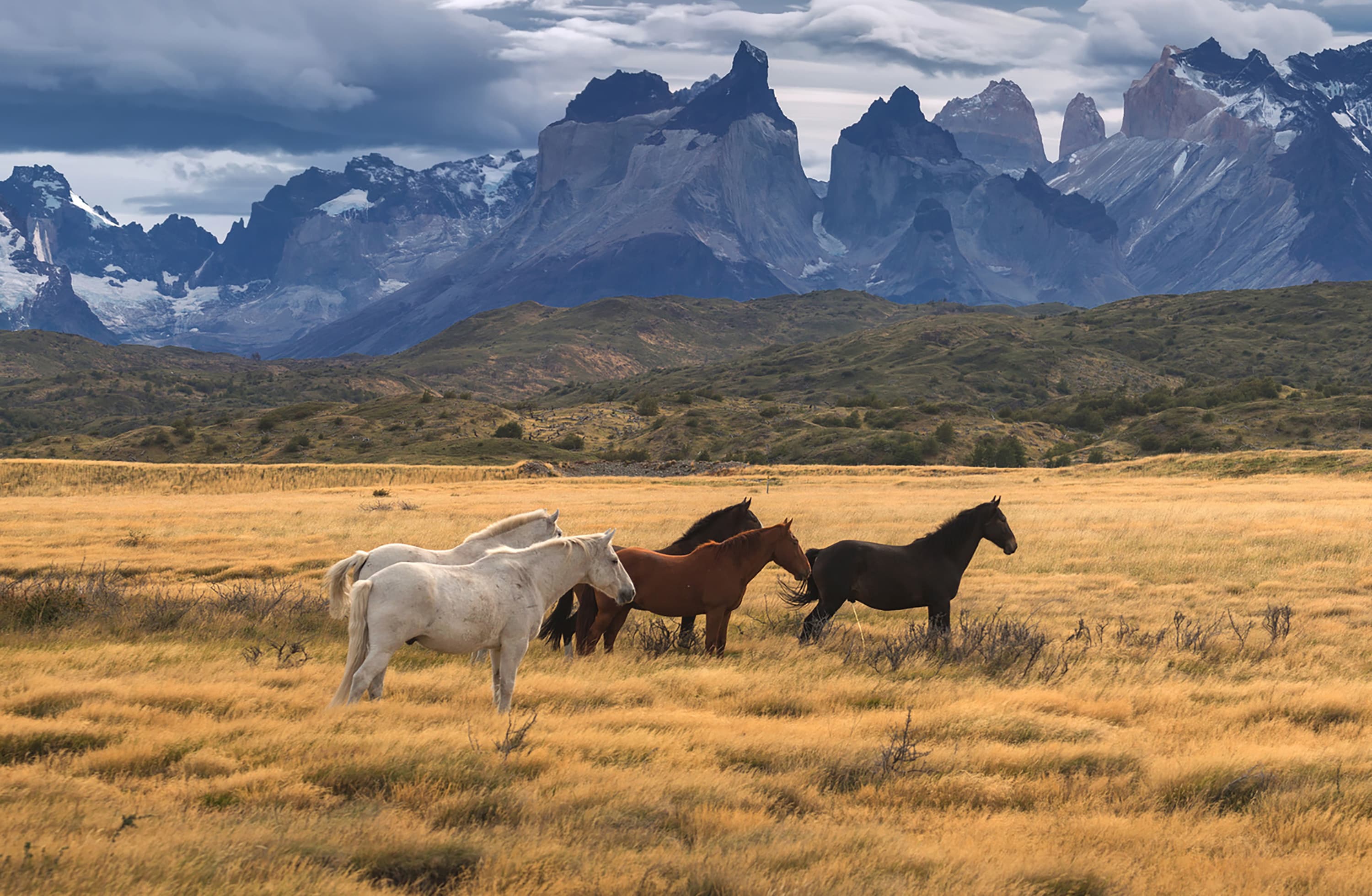 Viaje organizado a la Patagonia y Cruce Andino | Eurotrip