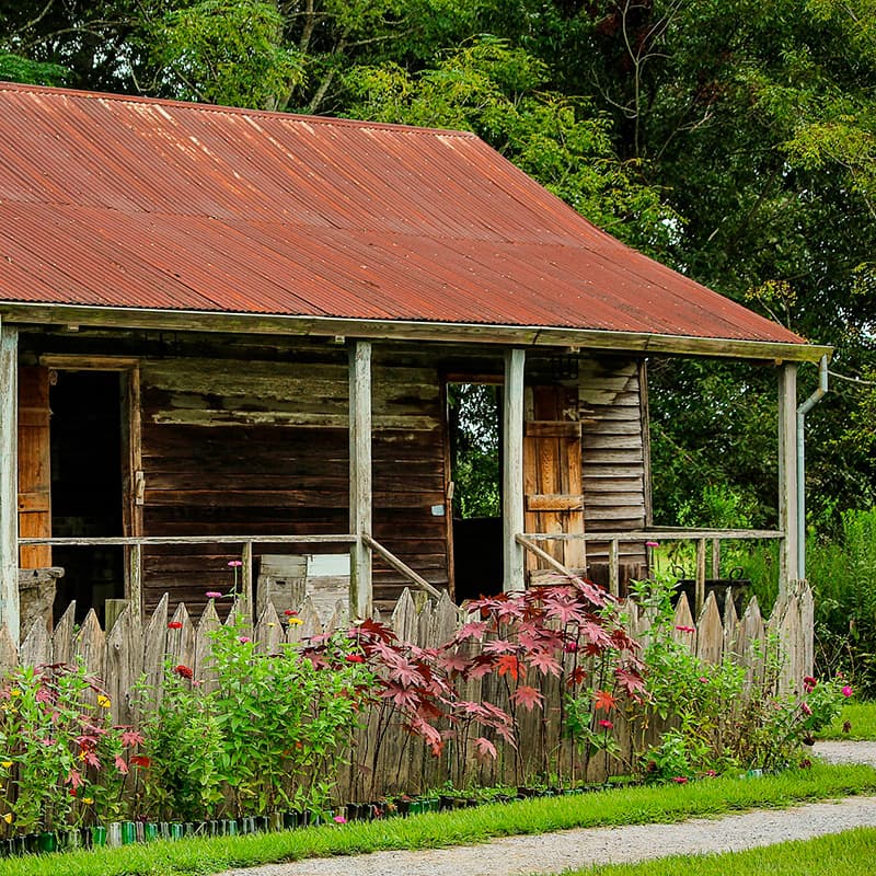 imagen noticia: Ruta de las plantaciones - LOUISIANA