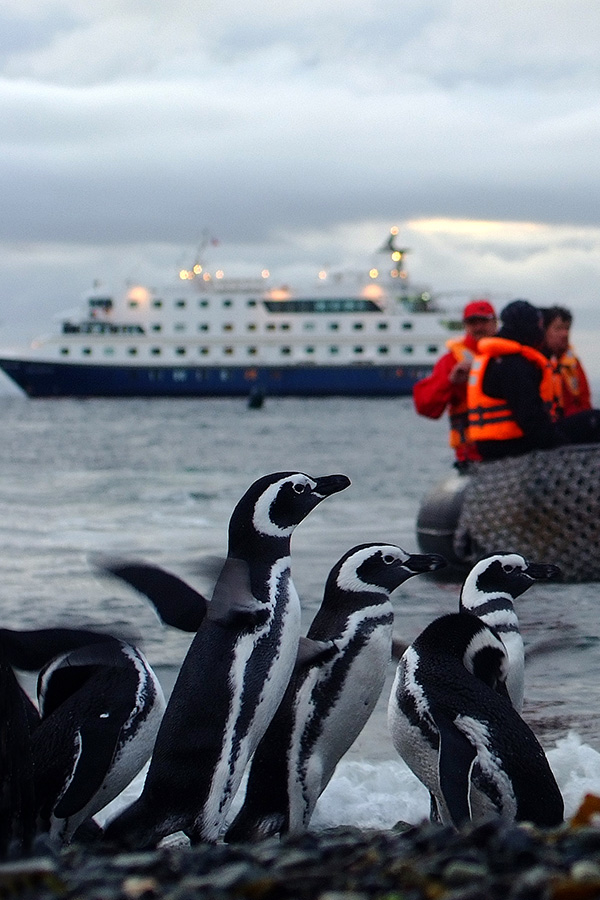 Australis, cruceros por el Fin del Mundo