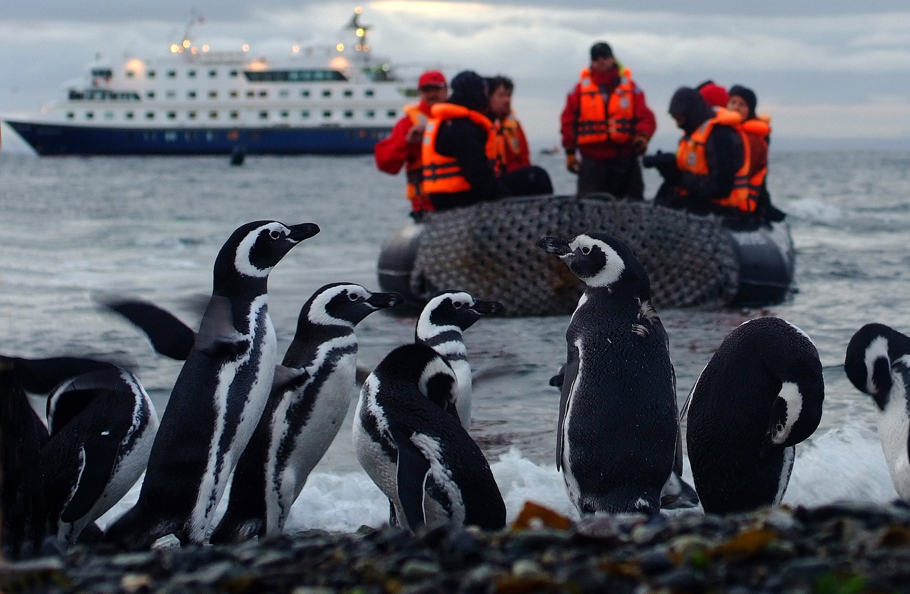 Blog Viajes Eurotrip Bidaiak: Australis, cruceros por el Fin del Mundo