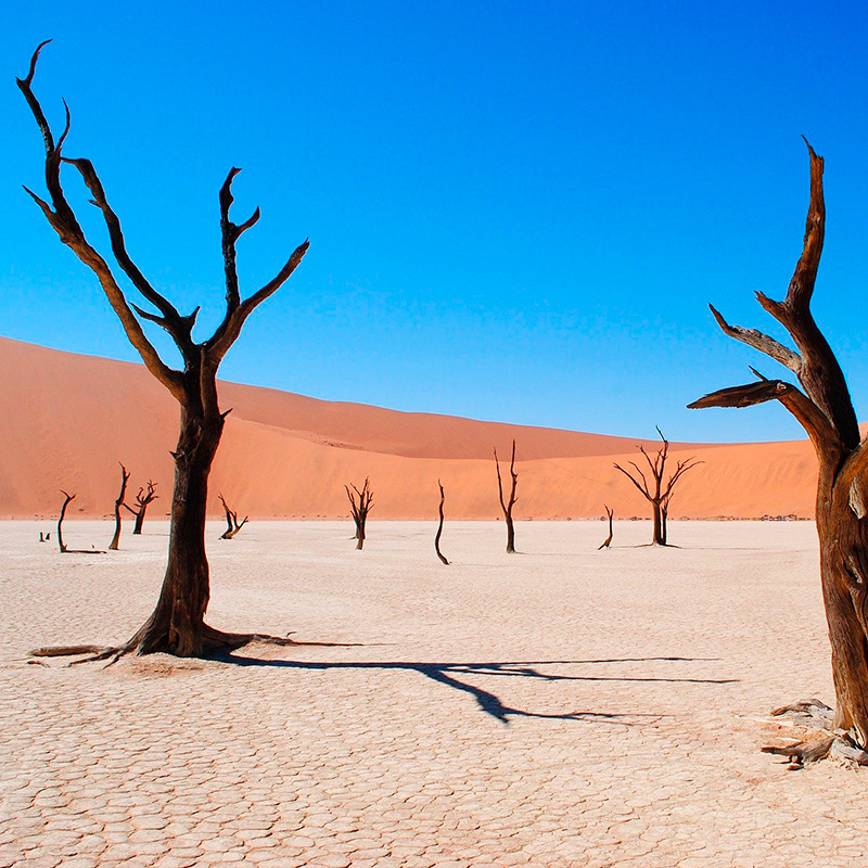 imagen noticia: Curiosidades de Namibia