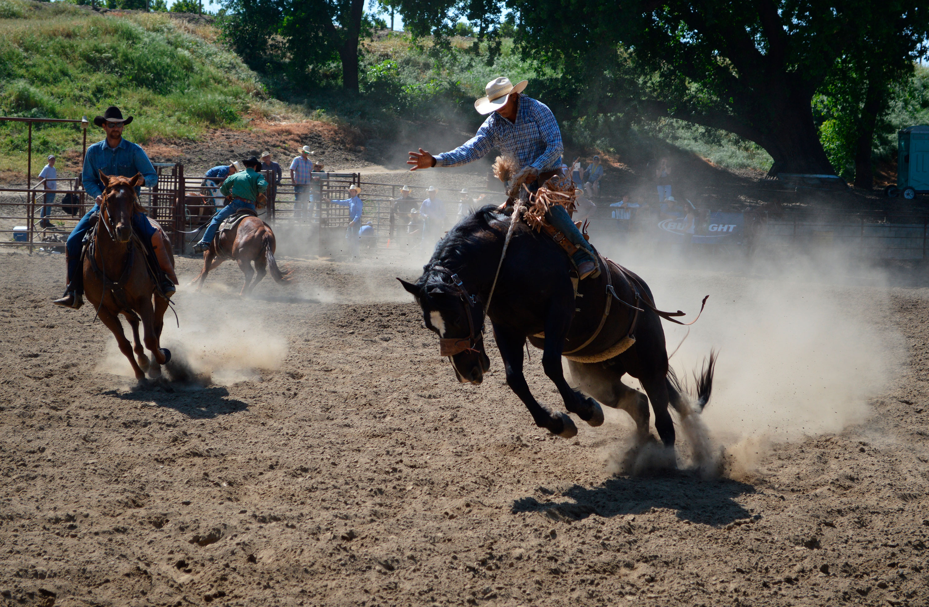 Blog Viajes Eurotrip Bidaiak: Alojarse en un rancho americano como un autntico cowboy