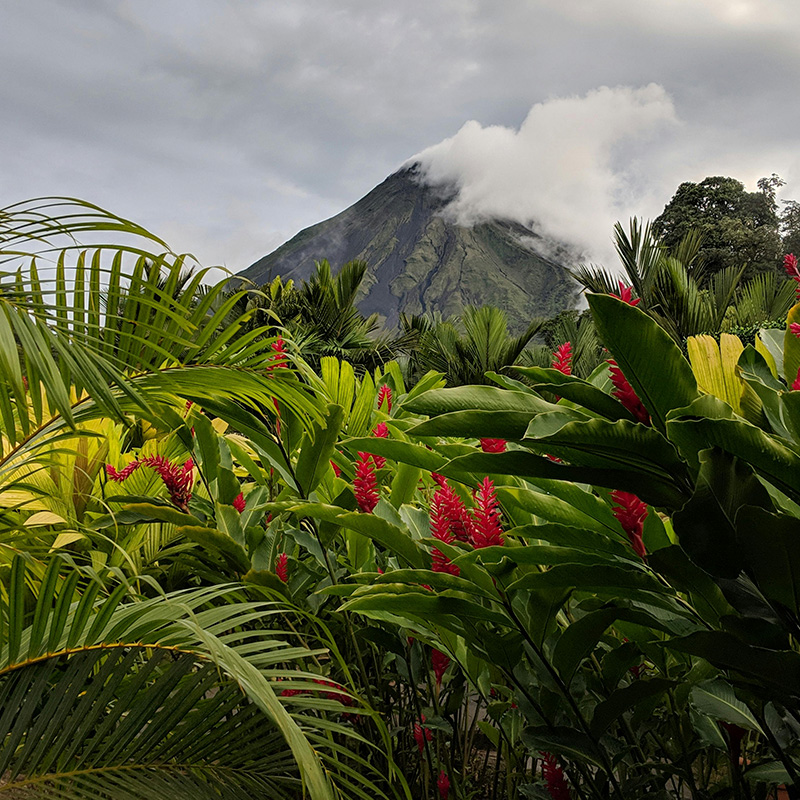 imagen noticia: Viajar a Costa Rica seguro desde Espa�a: naturaleza y tranquilidad
