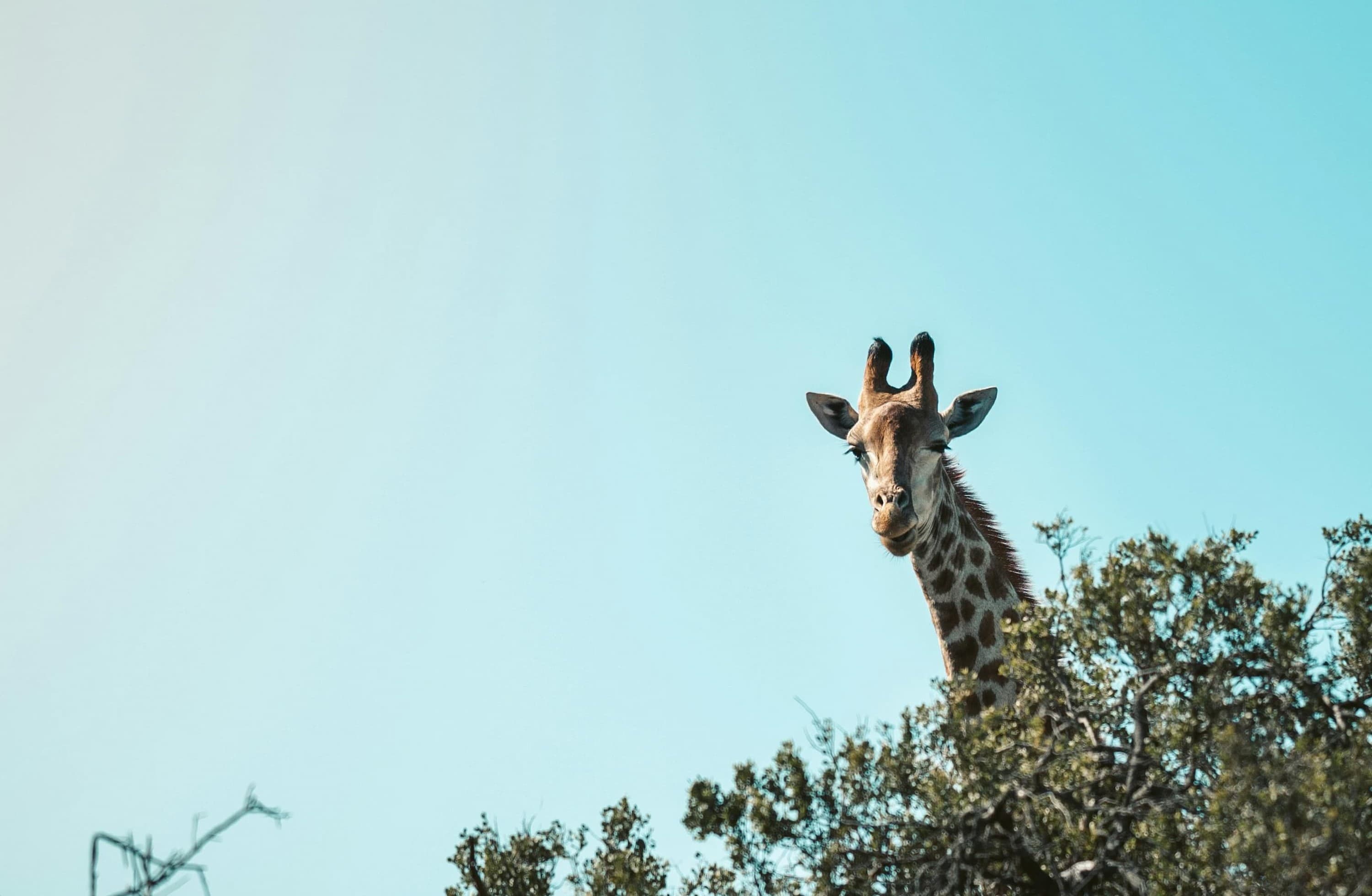 Blog Viajes Eurotrip Bidaiak: Sud�frica en primavera: de septiembre a noviembre, la mejor �poca para viajar