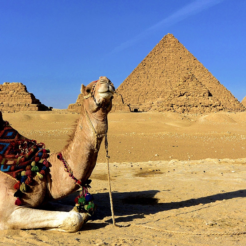 Foto del viaje a medida a Egipto de IULEN (DONOSTIA - SAN SEBASTIáN) organizado por Viajes Eurotrip Bidaiak